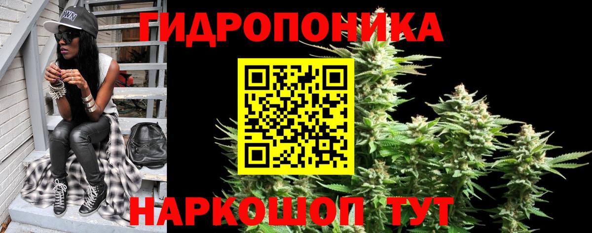Шишки марихуана Bruce Banner  Бошки марихуана Amnesia  МАРИХУАНА план  Щёкино  Вход с VPN 